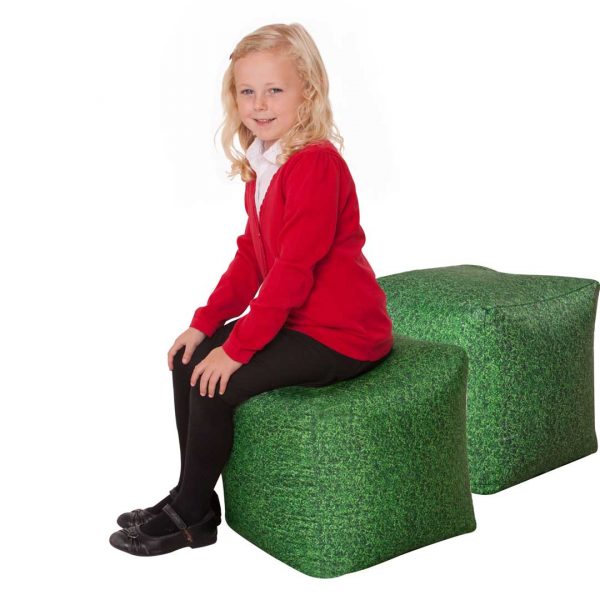 Pack of 2 Learn about Nature Grass Bean Bag Cubes