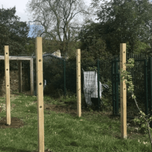 Den Making Posts (set of 4)